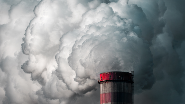 Die Netto-Short-Positionen bei CO2-Zertifikaten haben den höchsten Stand seit Juli erreicht, während die Zertifikate weiter nachgeben.